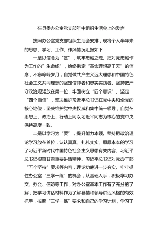 党支部年中组织生活会上的发言（1700字）