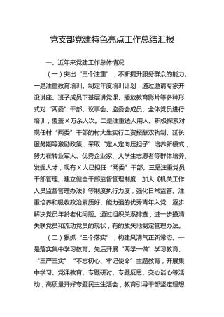 党支部党建特色亮点工作总结汇报3000字