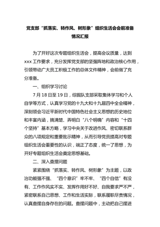党支部“抓落实、转作风、树形象”组织生活会会前准备情况汇报