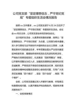 党支部“坚定理想信念，严守党纪党规”专题组织生活会情况报告