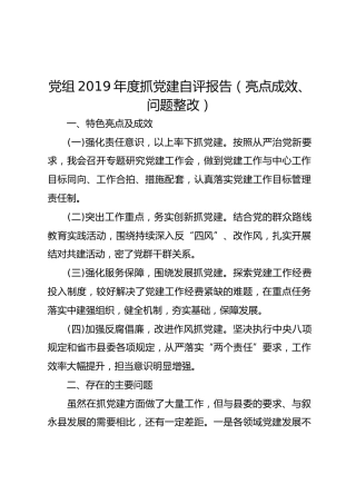 党组2019年度抓党建自评报告（亮点成效、问题整改）