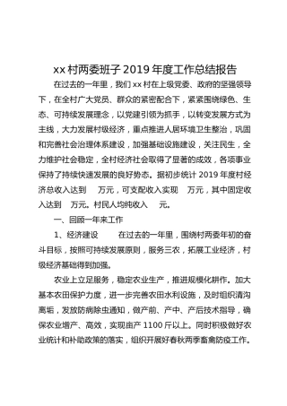 xx村两委班子2019年度工作总结报告