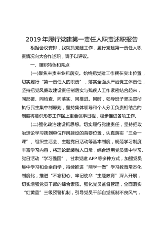 2019年履行党建第一责任人职责述职报告