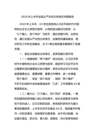 2020年上半年全面从严治党主体责任专题工作报告4500字