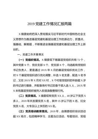 2019党建工作情况汇报两篇（群文件失效文件重传）