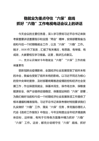 抓好六稳工作电视电话会议上的讲话