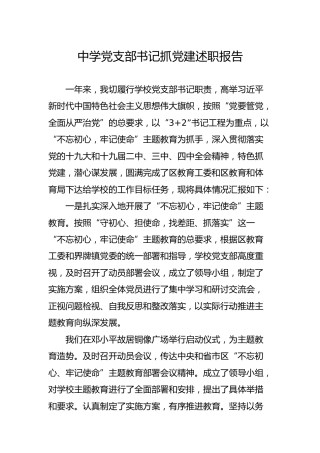 中学学校党支部书记抓党建述职报告2700字