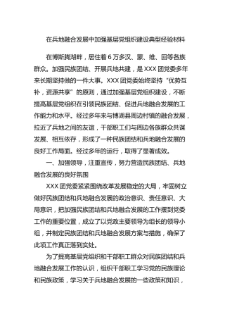 在兵地融合发展中加强基层党组织建设典型经验材料