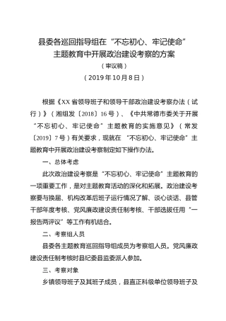 巡回指导组政治建设考察方案（含负面清单）