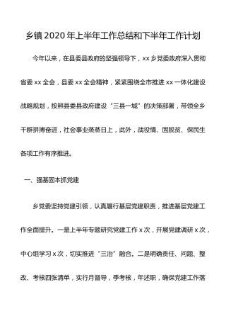 乡镇2020年上半年工作总结和下半年工作计划4