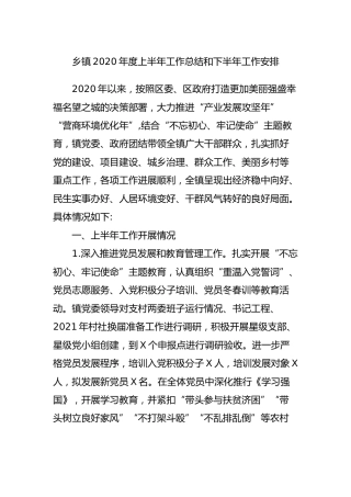 乡镇2020年度上半年工作总结和下半年工作安排3200字