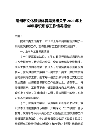 文化旅游体育局党组关于2020年上半年意识形态工作情况报告