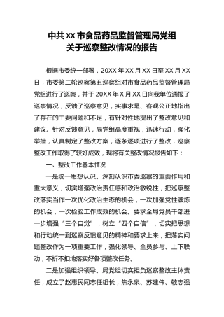 巡察整改情况的报告13000字