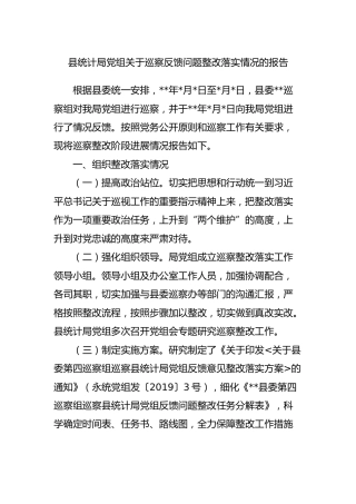 巡察反馈问题整改落实情的报告（统计6100字）