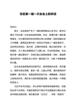 在区委全会上的讲话2