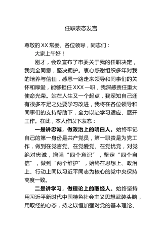 任职表态发言900字