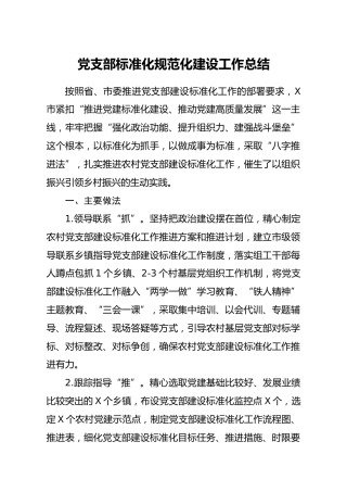 党支部标准化规范化建设工作总结