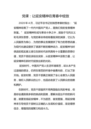 党课：让延安精神在青春中绽放6500字