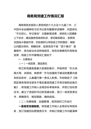 2020年商务系统党建工作总结