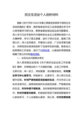 2020年民主生活会个人剖析材料（巡视巡察边巡边改类）