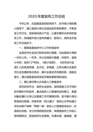 2020年度宣传工作总结（统计）
