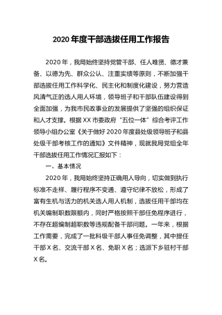 2020年度干部选拔任用工作专题报告 2600字