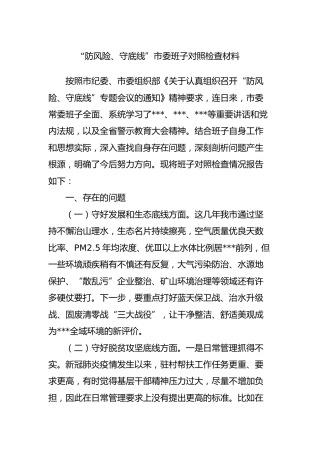 “防风险、守底线”班子对照检查材料2200字