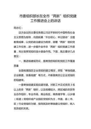 组织部长在全市“两新”组织党建工作推进会上的讲话