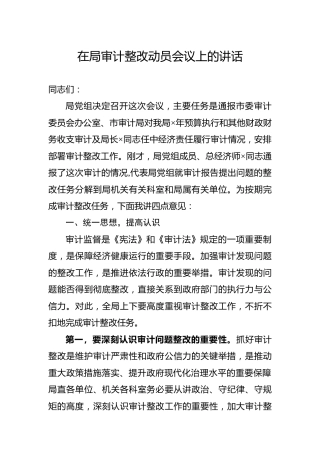 在局审计整改动员会议上的讲话2800字