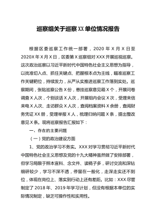 巡察组关于巡察X单位情况报告