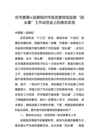 巡察“回头看”工作动员会上的表态发言