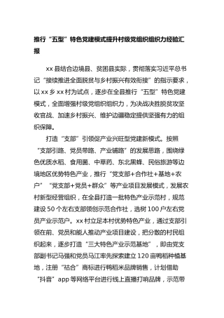 推行“五型”特色党建模式提升村级党组织组织力经验工作汇报