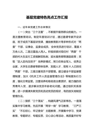基层党建特色亮点工作汇报3000字