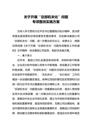 关于开展总部机关化问题专项整改实施方案
