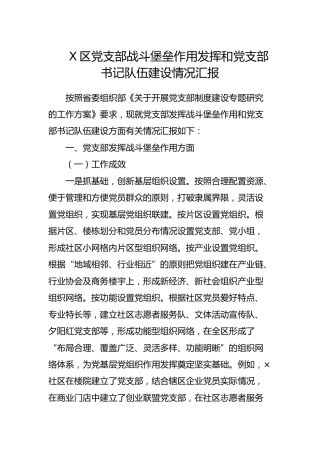 党支部战斗堡垒作用发挥和党支部书记队伍建设情况汇报