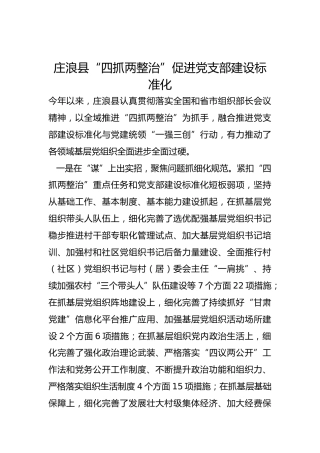 党建经验：“四抓两整治”促进党支部建设标准化