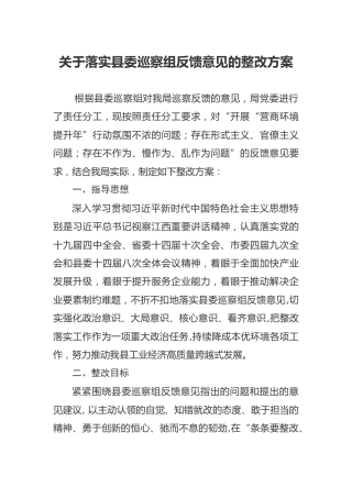 2020年落实县委巡察组反馈意见的整改方案3000字