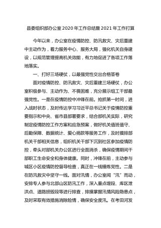 组织部2020年工作总结暨2021年工作打算3100字