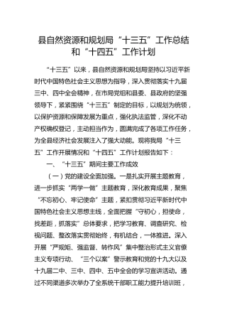 自然资源和规划局“十三五”工作总结和“十四五”工作计划