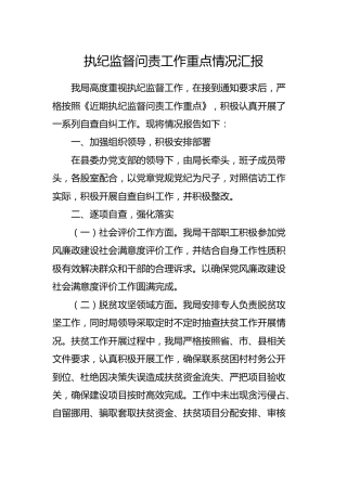 执纪监督问责工作重点情况汇报2900字