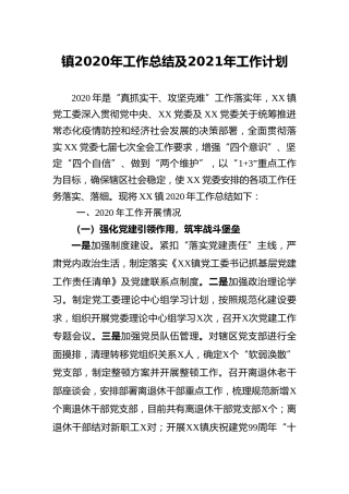 乡镇2020年工作总结及2021年工作计划（3100字）