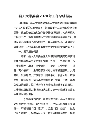 县人大2020年工作总结报告5100字