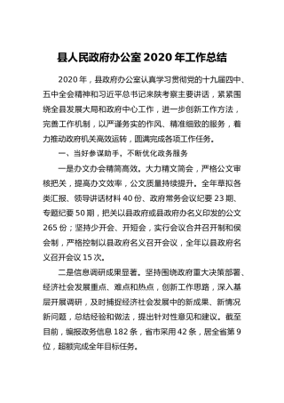 政府办2020年工作总结4900字