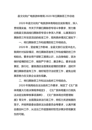 文旅体育系统2020年扫黑除恶工作总结