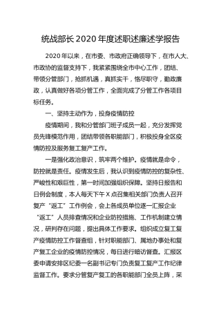 统战部长2020年度述职述廉述学报告4800字
