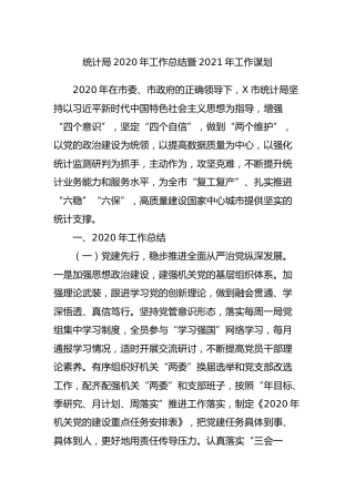 统计系统2020年工作总结及2021年工作计划