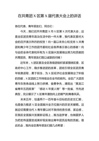 在共青团代表大会上的讲话（2500字）