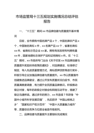 市场监管系统十三五规划实施情况总结评估报告