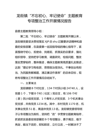 龙街镇“不忘初心、牢记使命”主题教育专项整治工作开展情况报告