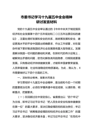 十九届五中全会精神研讨发言材料（2篇，市县）